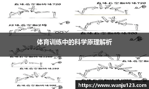 体育训练中的科学原理解析